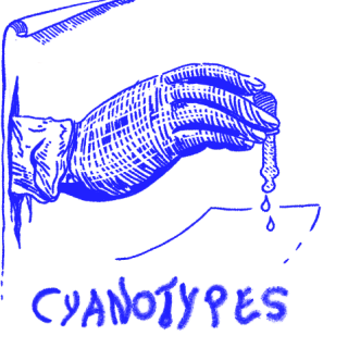 Portfolio - cyanotypes - link